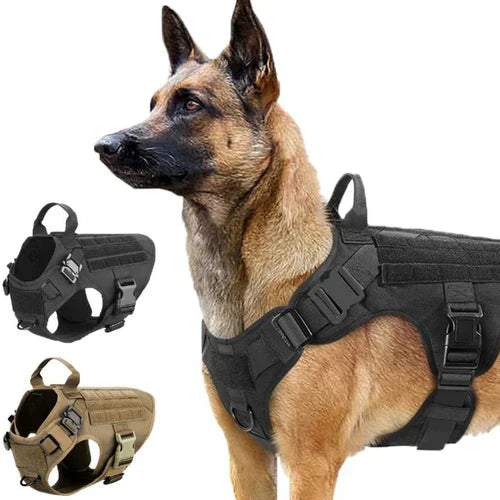 Taktisk hundesele med håndtag metalringe justerbare stropper og MOLLE | Mathéo