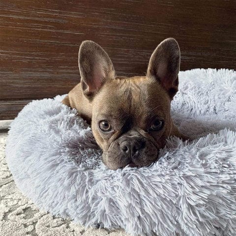 Fluffy Kæledyrsseng Blød Rund Vaskbar Hund Kat | Adelina