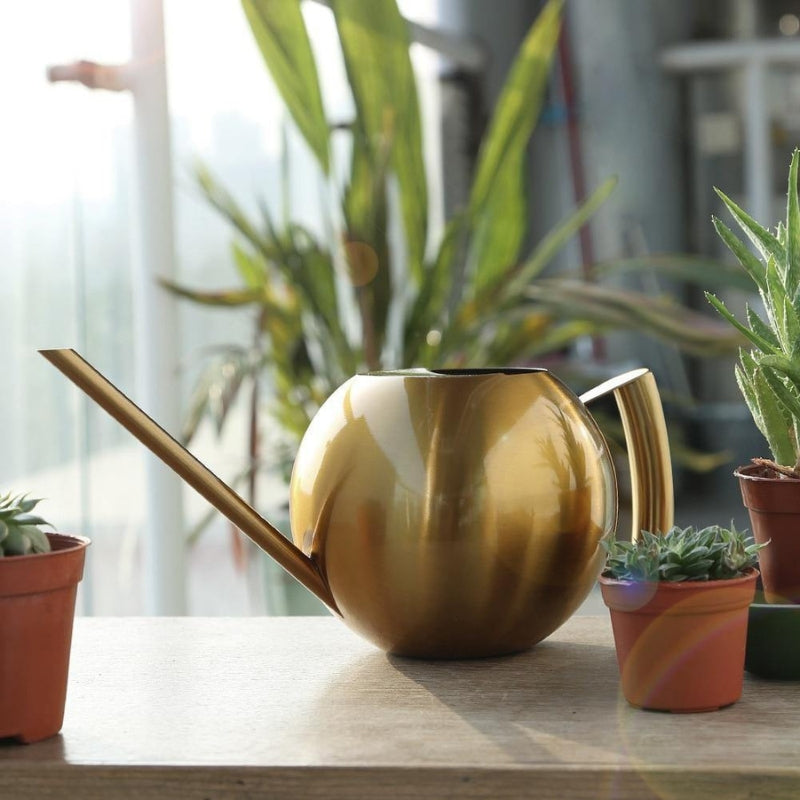 Vandkande Rustfrit Stål Præcisionsvandingtil blomster og planter | Aquoris