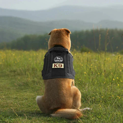 Taktisk hundesele med håndtag metalringe justerbare stropper og MOLLE | Mathéo