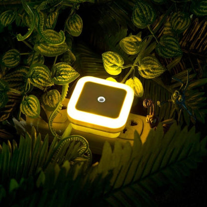 Mini LED Vægnatlampe Blødt Guidelys ABS | NightEase