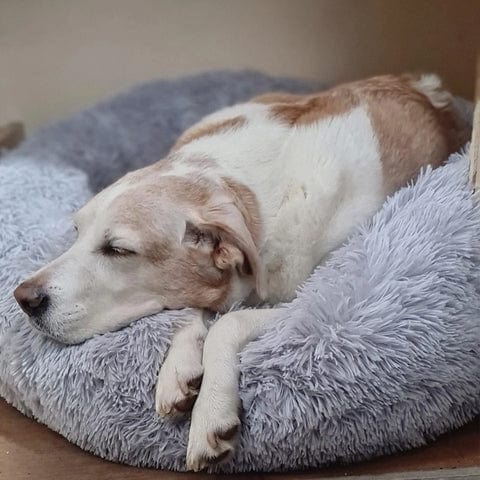Fluffy Kæledyrsseng Blød Rund Vaskbar Hund Kat | Adelina