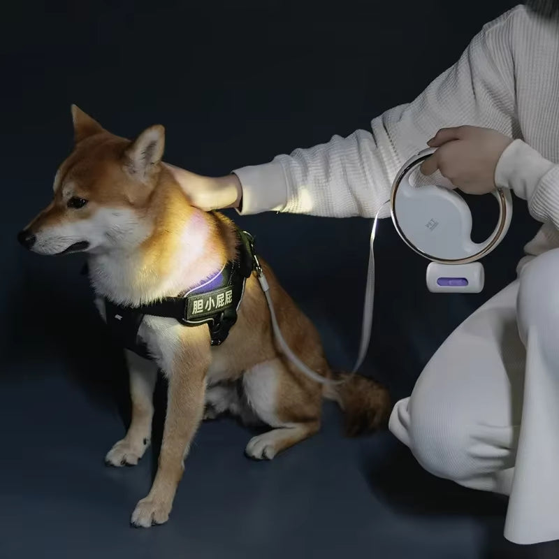 Udtrækkelig hundesnor med LED-lys poseholder og 3 meter line | Matthieu