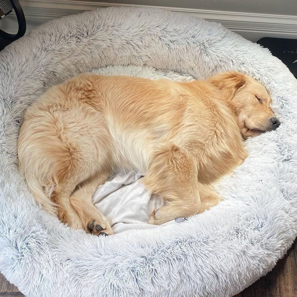 Fluffy Kæledyrsseng Blød Rund Vaskbar Hund Kat | Adelina