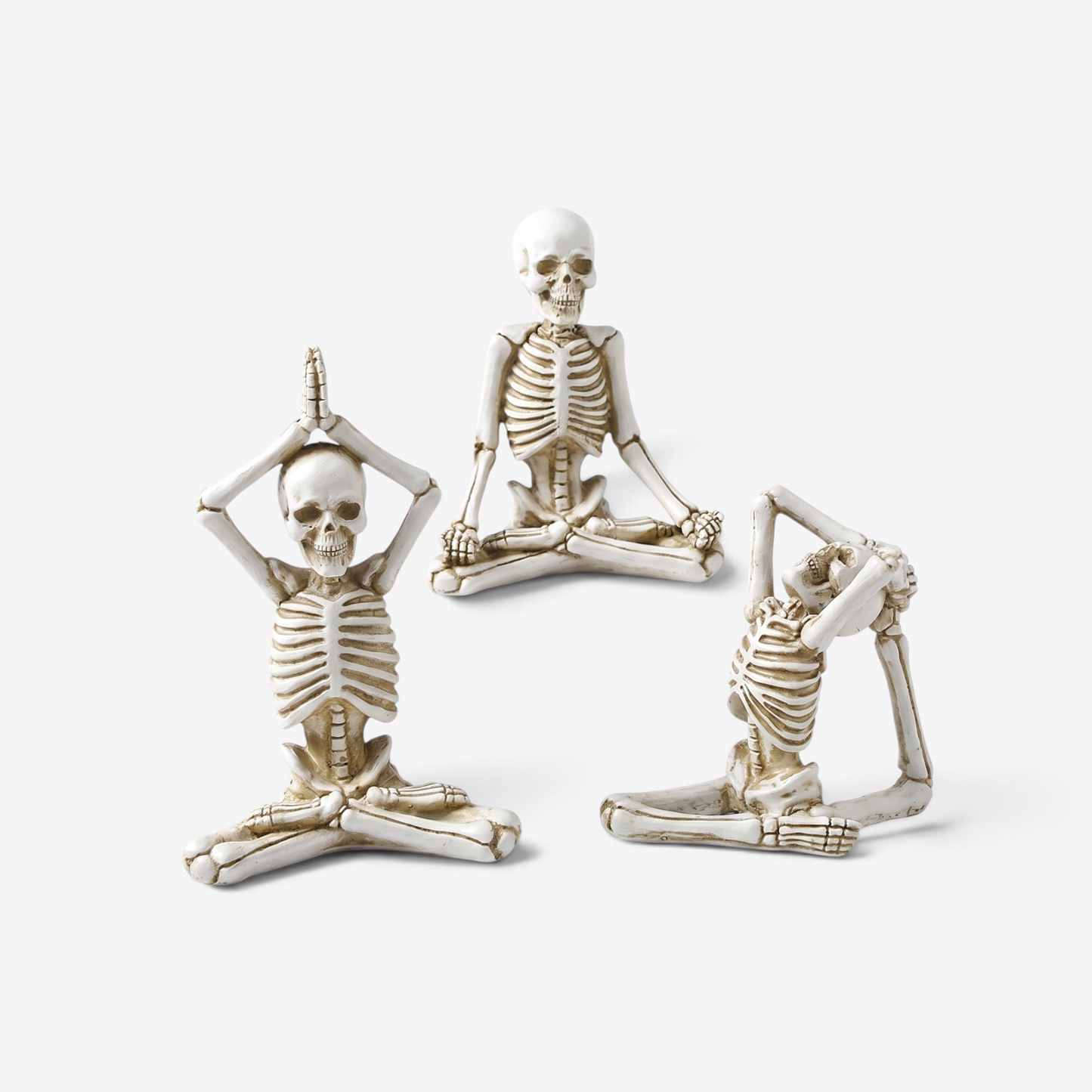 Halloween Skeletfigur Harpiks Dekorativ Udstilling | BoneGuard