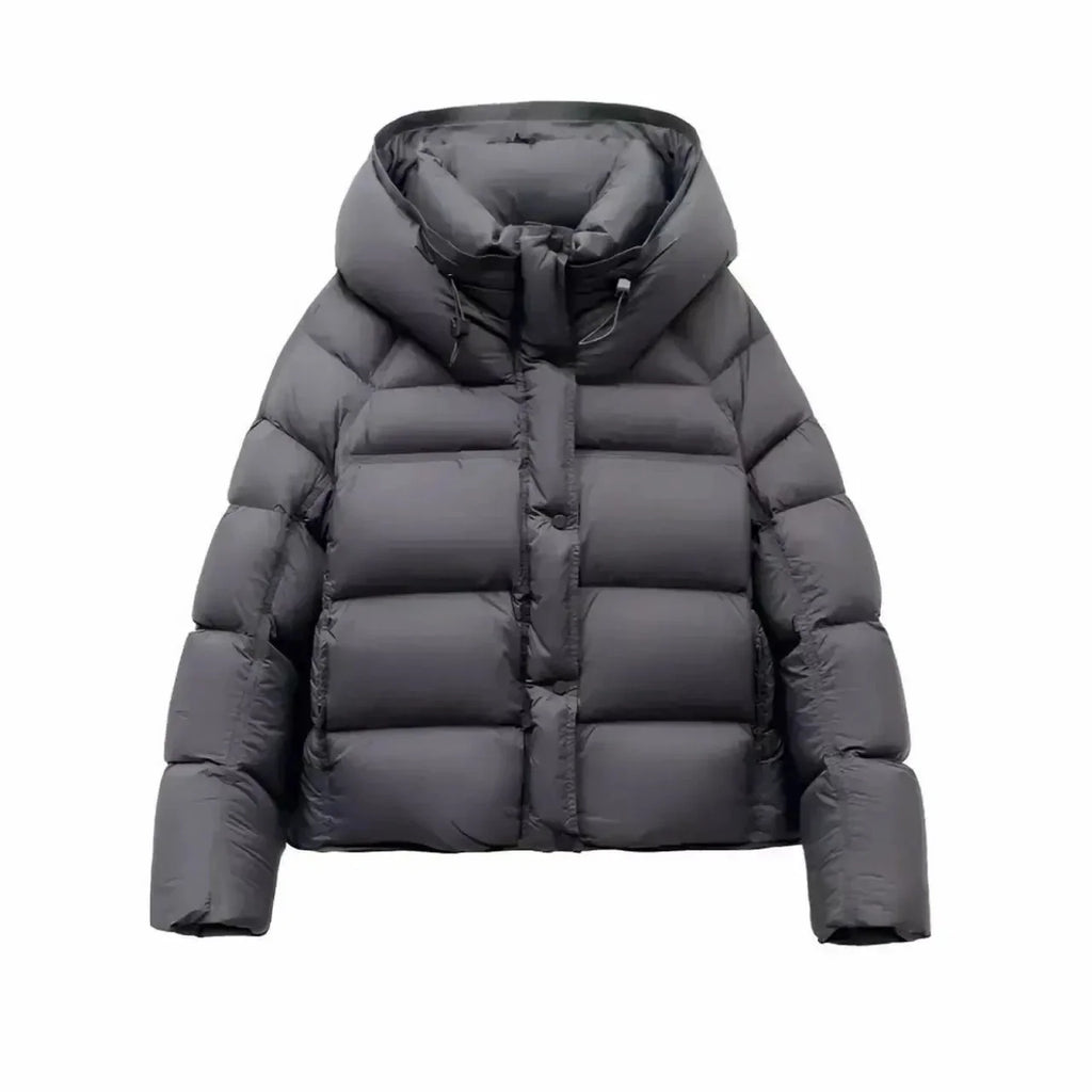 Jakke Kort Slim Fit Let Vatteret Vinter | Larnex