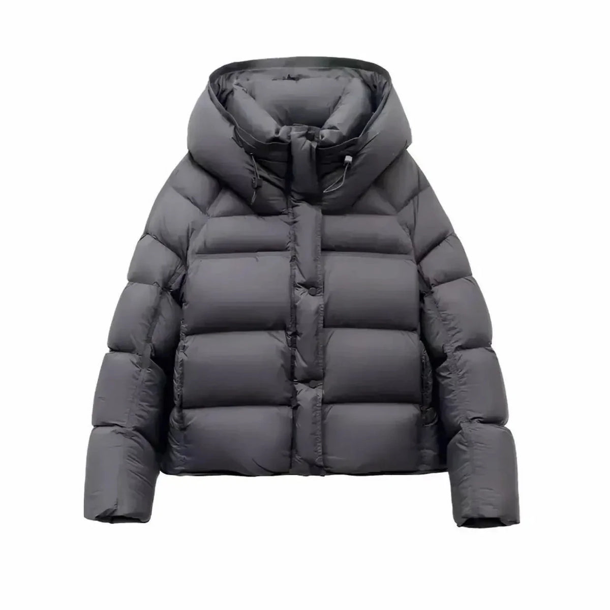 Jakke Kort Slim Fit Let Vatteret Vinter | Larnex