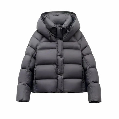 Jakke Kort Slim Fit Let Vatteret Vinter | Larnex