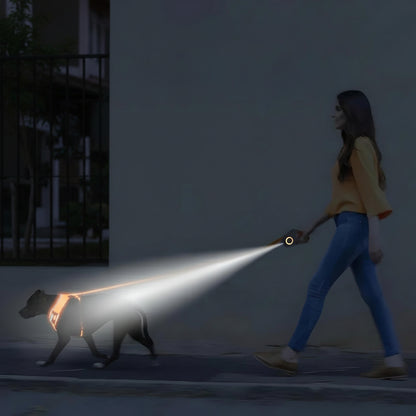 Hundesnor LED Oplyst 5M Automatisk Robust | Bravico