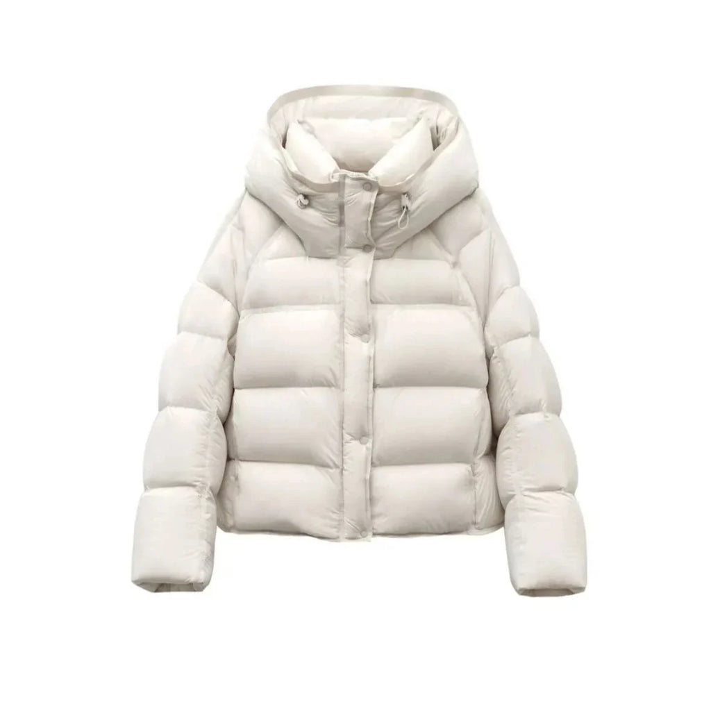 Jakke Kort Slim Fit Let Vatteret Vinter | Larnex