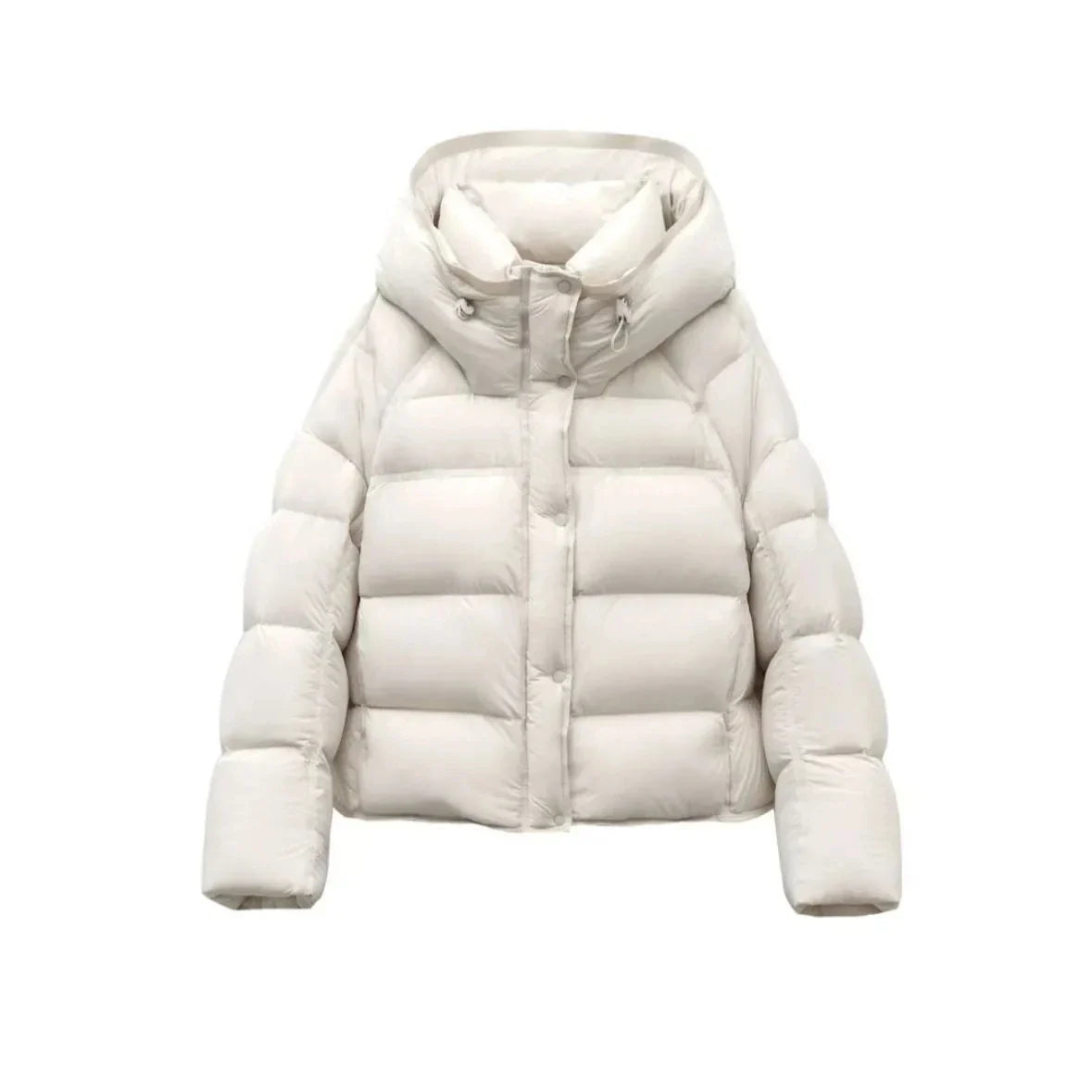 Jakke Kort Slim Fit Let Vatteret Vinter | Larnex