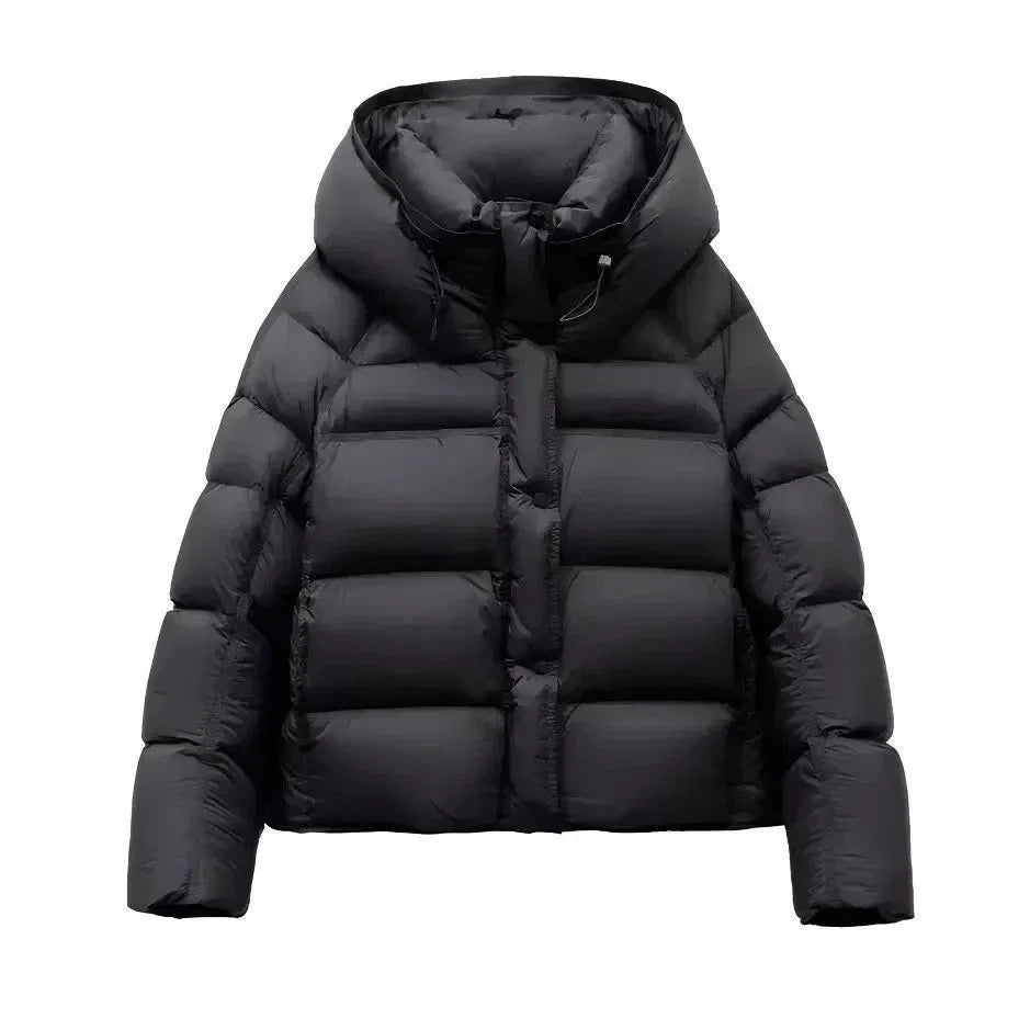 Jakke Kort Slim Fit Let Vatteret Vinter | Larnex