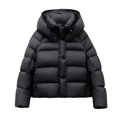 Jakke Kort Slim Fit Let Vatteret Vinter | Larnex