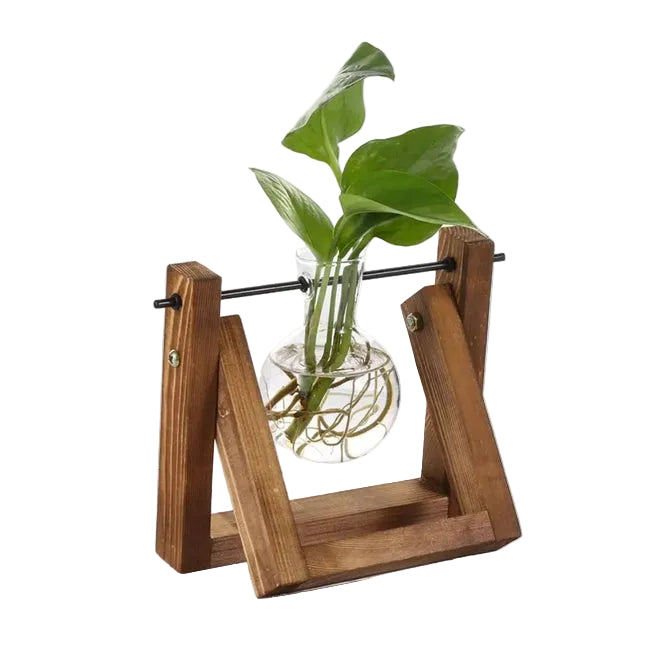 Hydroponisk Urtepotte Træbakke Indendørs Planter | Florentia