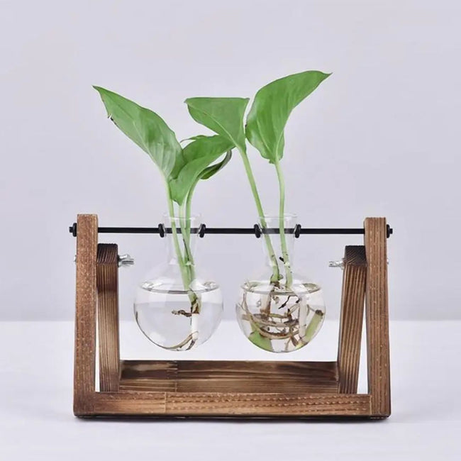 Hydroponisk Urtepotte Træbakke Indendørs Planter | Florentia