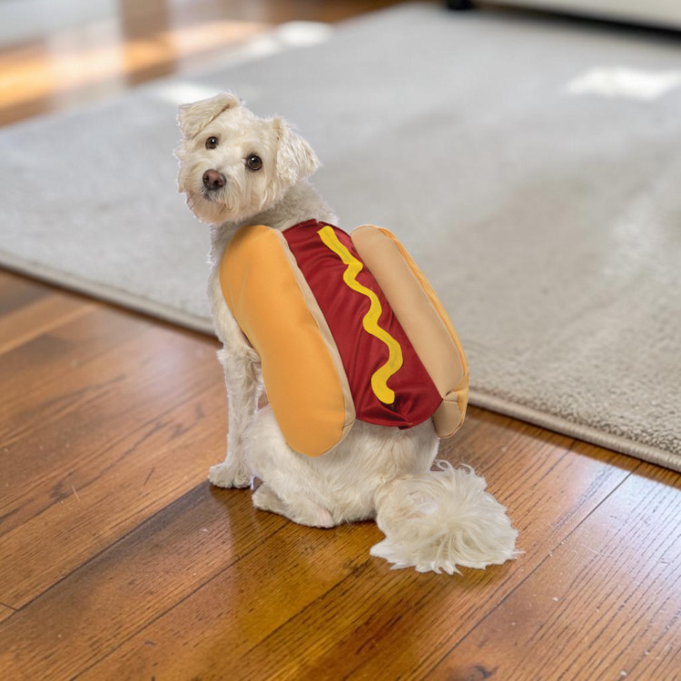 Hot dog hundekostume i blød polyester med velcrolukning til Halloween | Barnabé