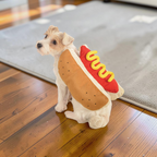 Hot dog hundekostume i blød polyester med velcrolukning til Halloween | Barnabé
