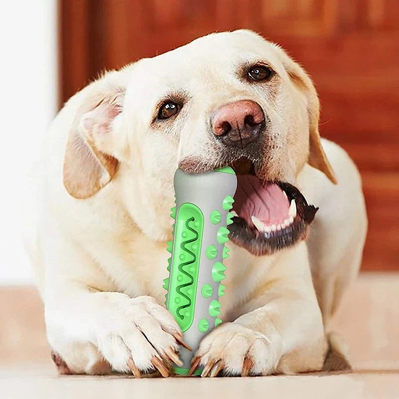 Rillet tyggelegetøj til hunde med struktureret overflade til daglig leg | Nicolas