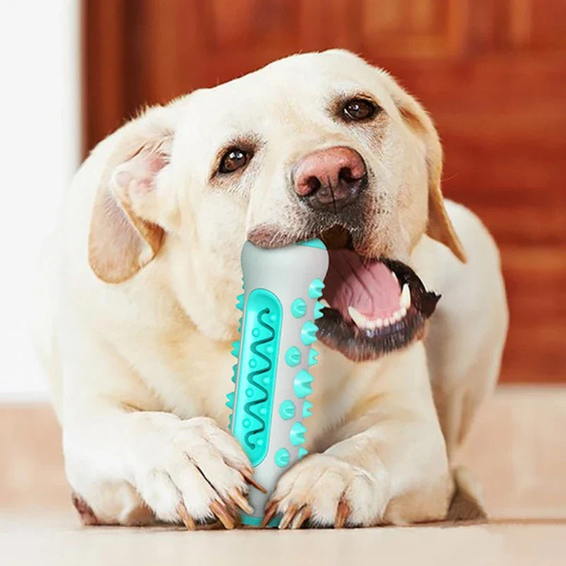 Rillet tyggelegetøj til hunde med struktureret overflade til daglig leg | Nicolas