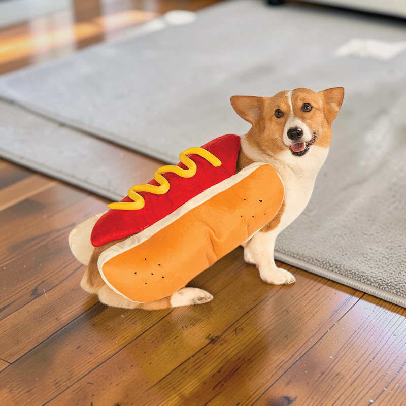 Hot dog hundekostume i blød polyester med velcrolukning til Halloween | Barnabé