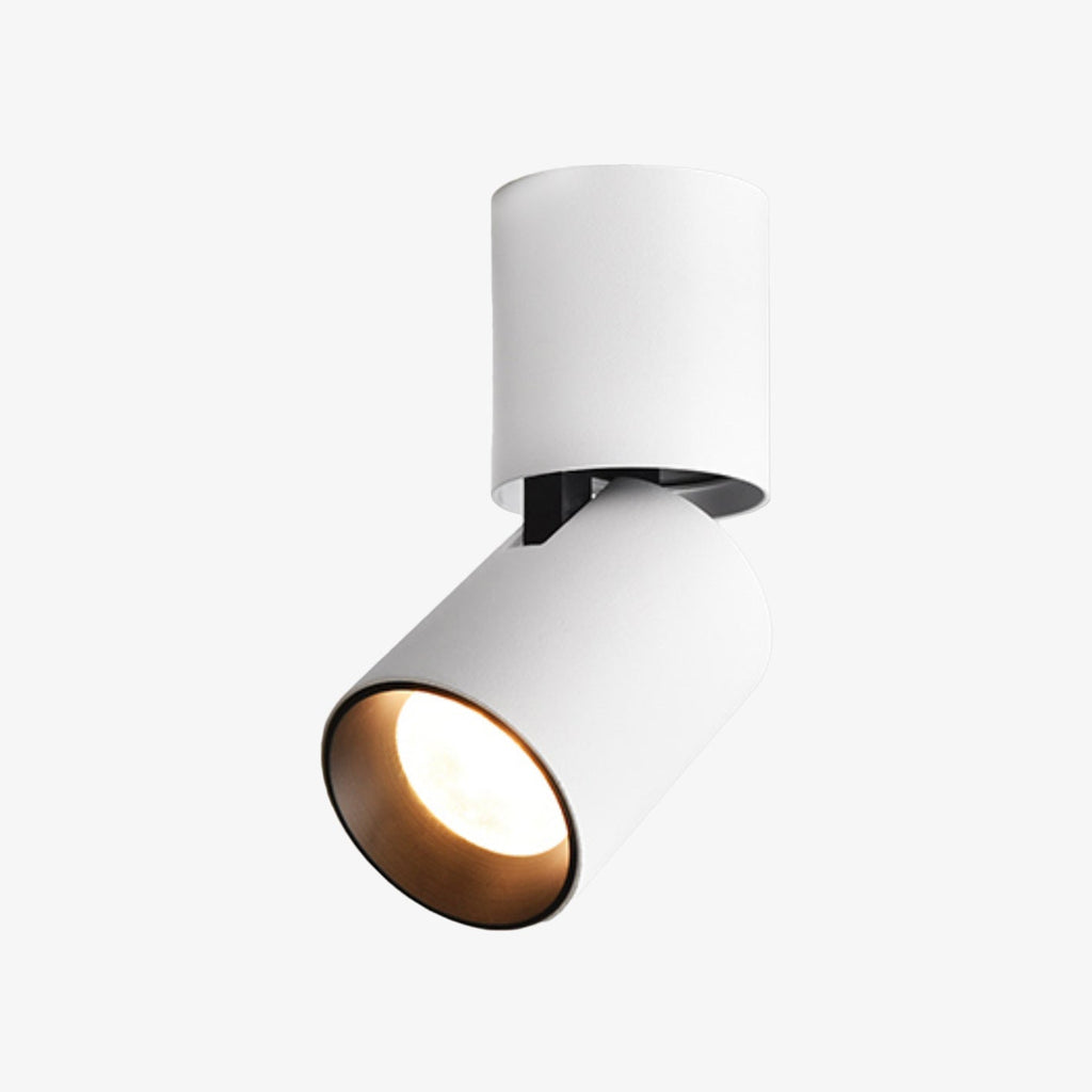 Moderne zylinderstrahler i aluminium med justerbart LED-lys | Mateo